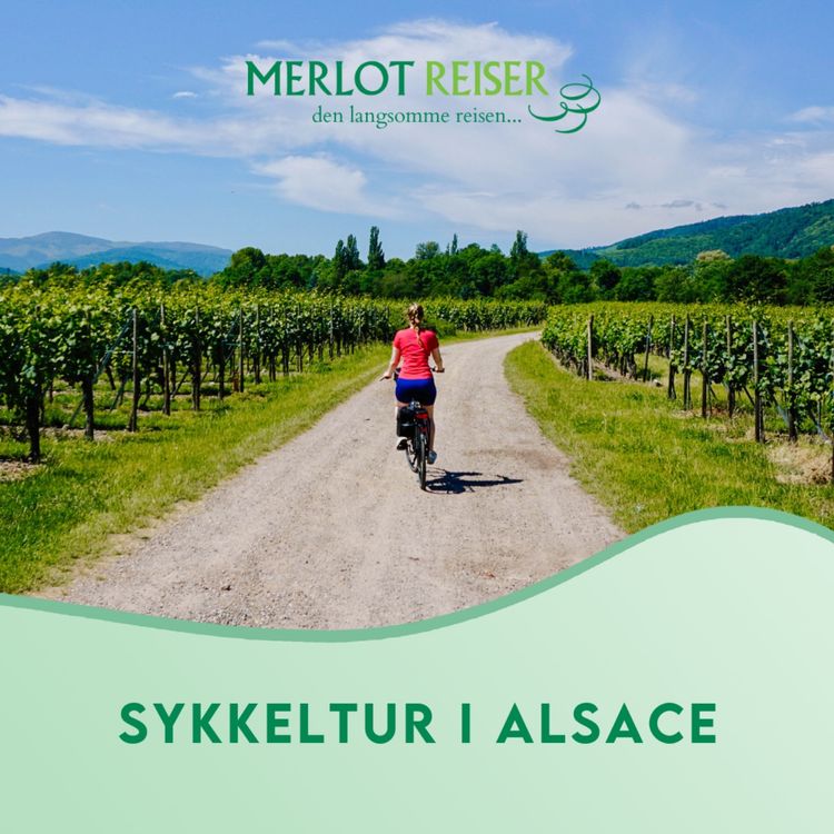 cover art for Sykkeltur i Alsace