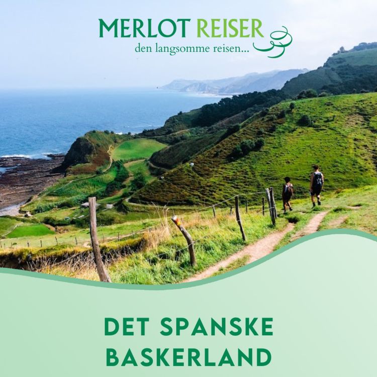 cover art for Vandring i Baskerland