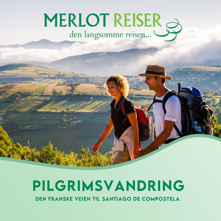 cover art for Pilegrimsvandring langs Den franske veien i Spania