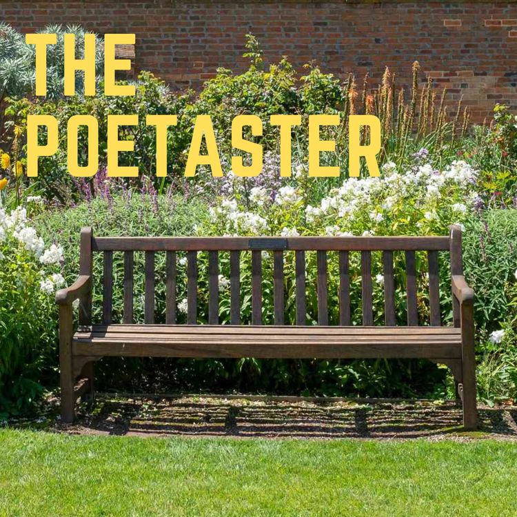 cover art for John Dennison, The Garden