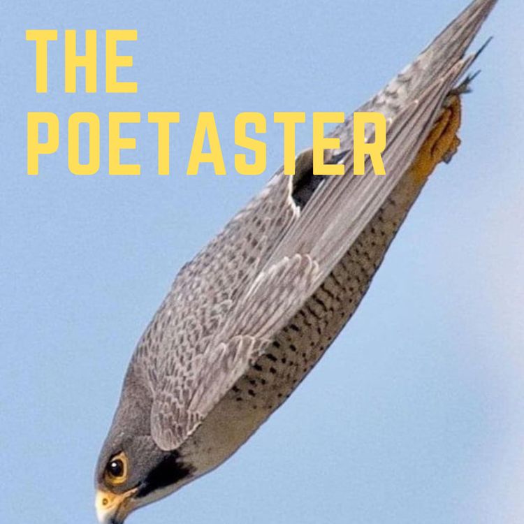 cover art for Gerard Manley Hopkins, The Windhover