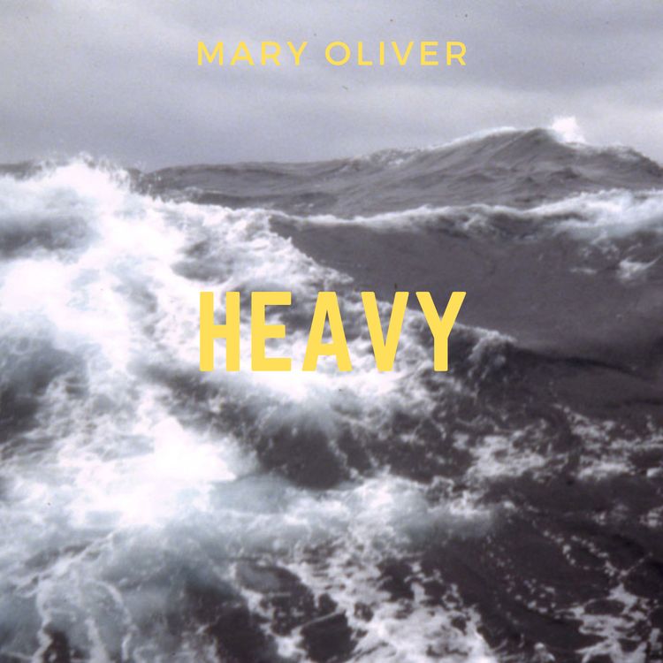 cover art for Mary Oliver, Heavy