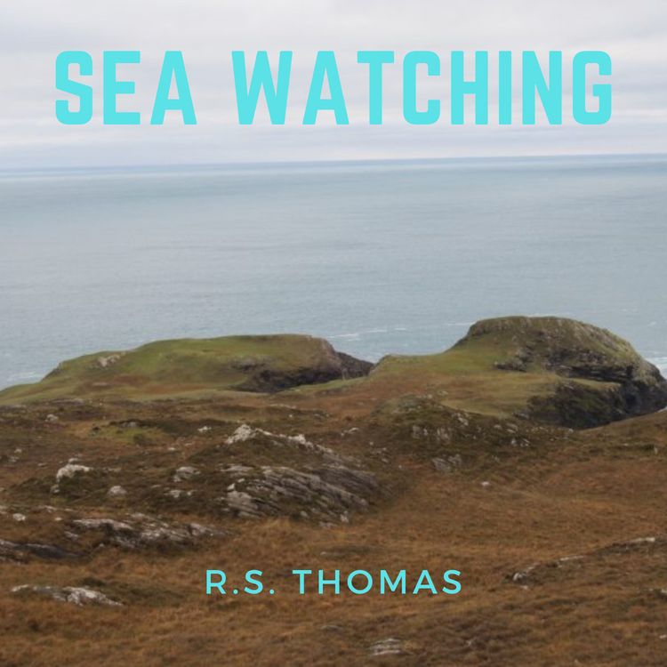 cover art for RS Thomas, Sea Watching