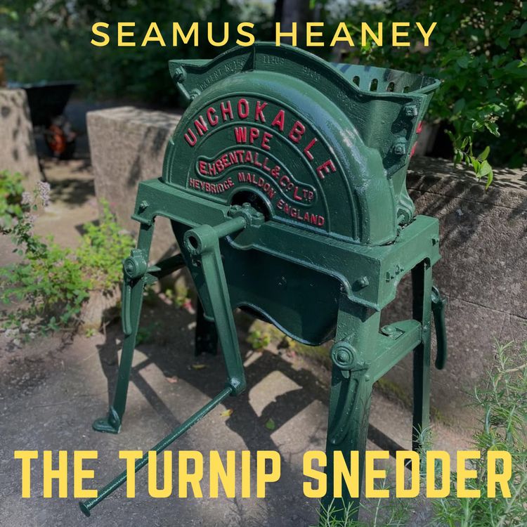 cover art for Seamus Heaney, "The Turnip Snedder"