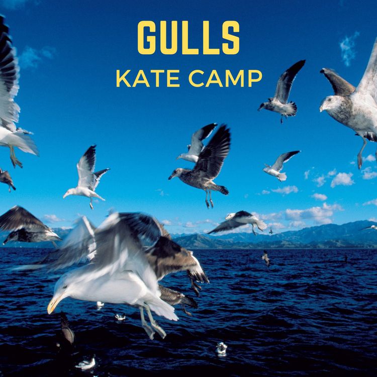 cover art for Kate Camp, "Gulls"