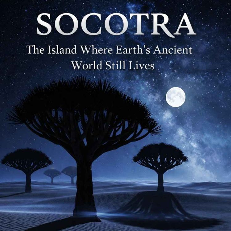 cover art for Socotra The Island Where Earths Ancient World Still Lives