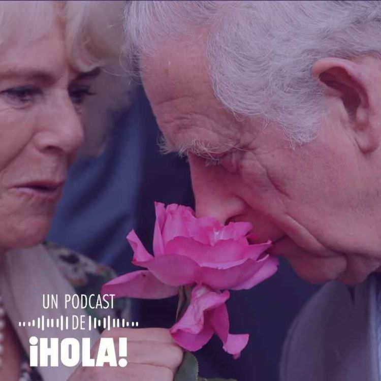 cover art for Carlos III y las mujeres