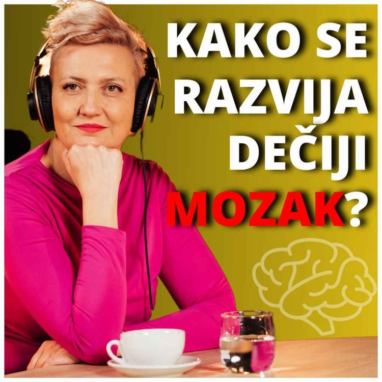 cover art for Zdrava priča 019: Irena Orlović - Kako se razvija dečiji mozak?