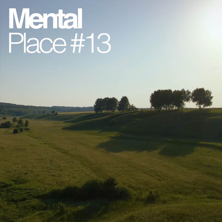 cover art for Mental Place #13