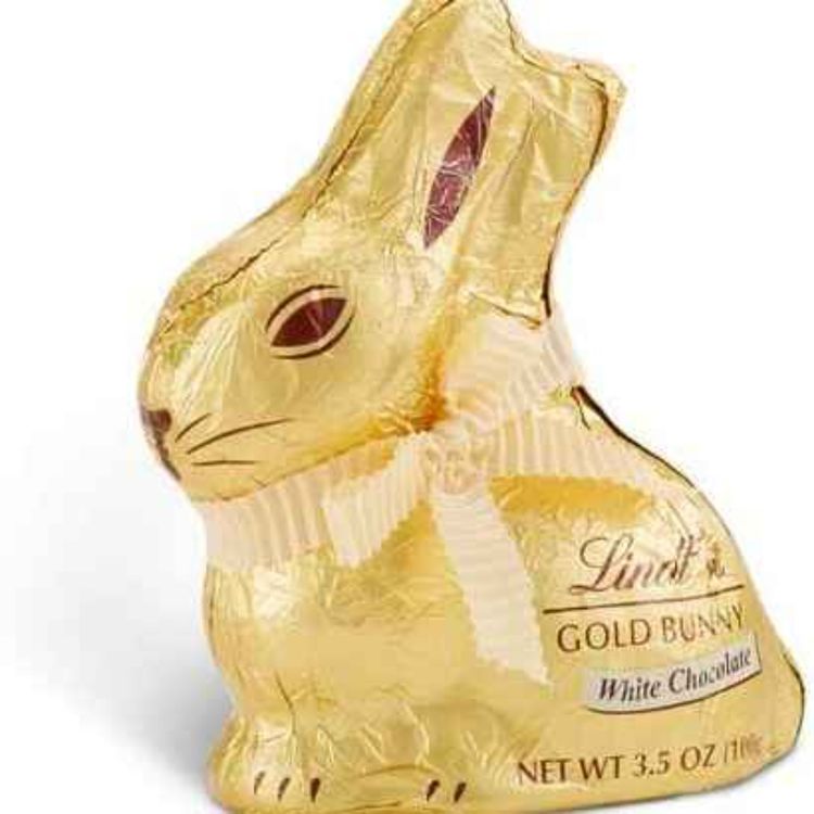 cover art for #8: Rock n' Roll Octopus (ft. Scott McClanahan & Ashleigh Bryant Phillips)