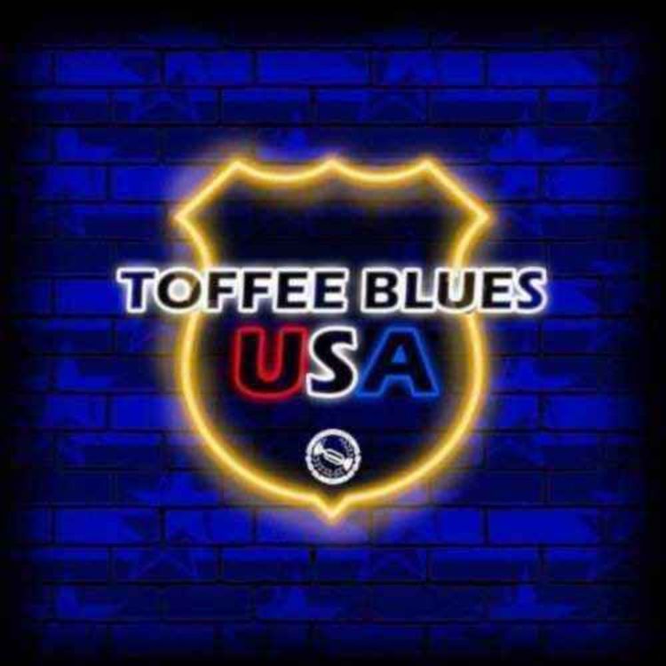 cover art for Toffee Blues USA | Brentford Debrief! Derby Day Looming!