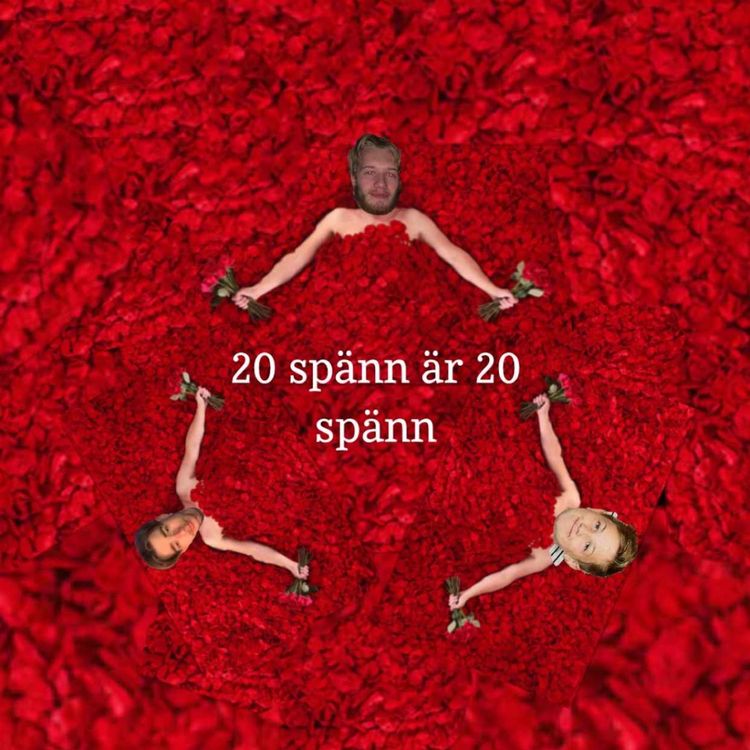 cover art for Team Cook söker fru