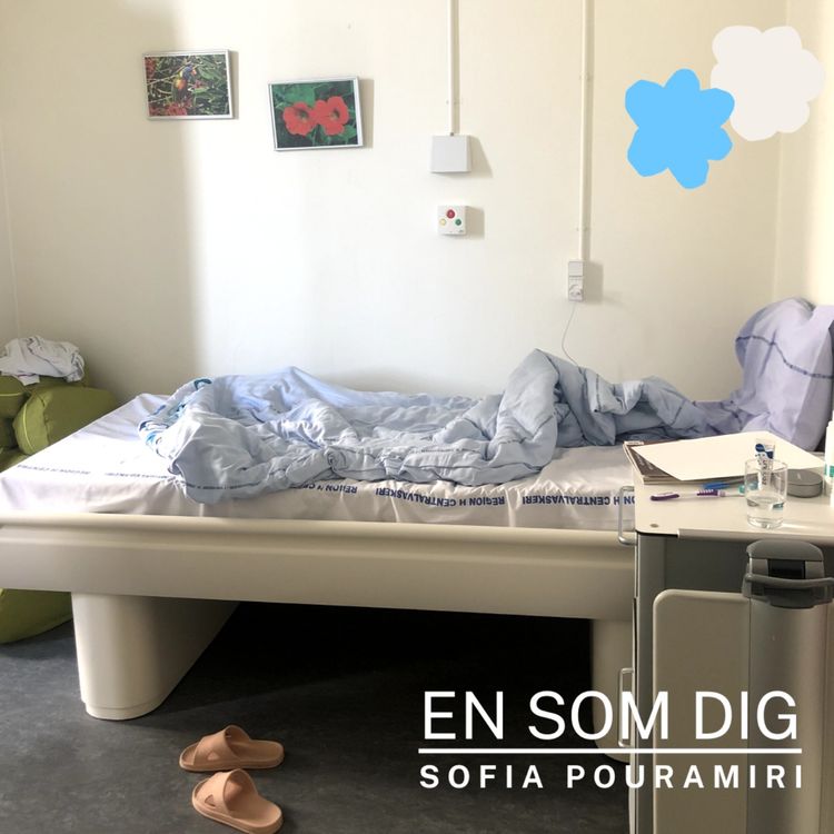 cover art for Hvem støtter mig denne gang?