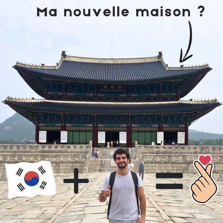 cover art for Petit séjour en Corée, je vous parle de ce pays incroyable ! - Mental of steel #5