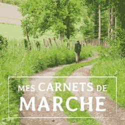 cover art for Mes carnets de marche