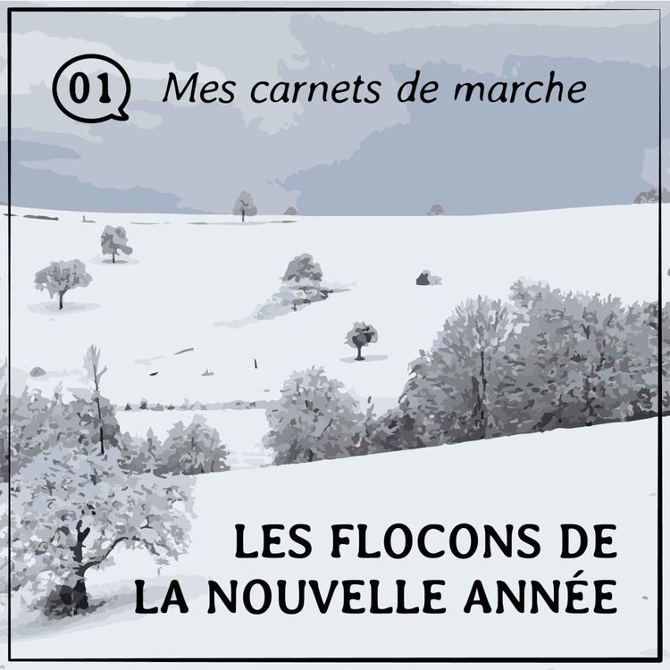 cover art for [01] Les flocons de la nouvelle année