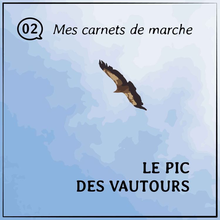 cover art for [02] Le pic des vautours