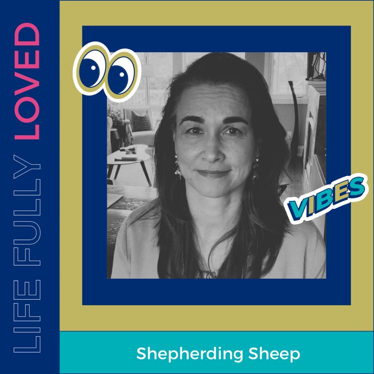 cover art for Sheep & Shepherds