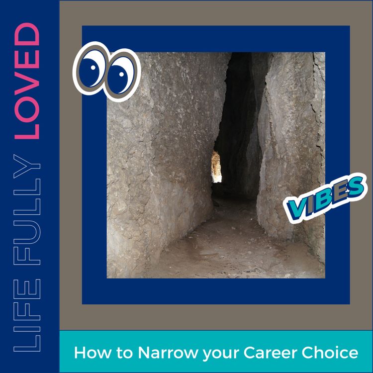 cover art for How to Narrow your Career Choice