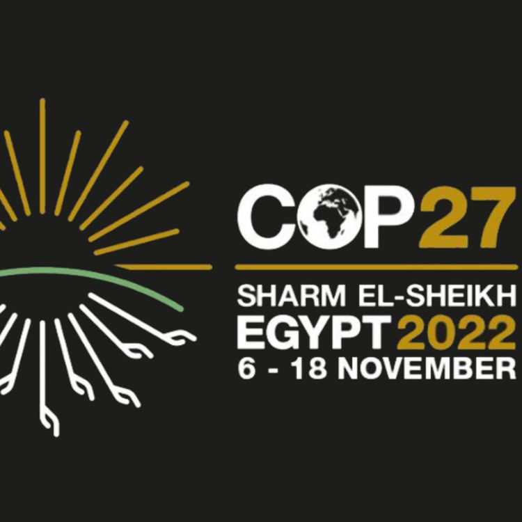 cover art for 축구만 월드컵하나? 기후도 월드컵 있다