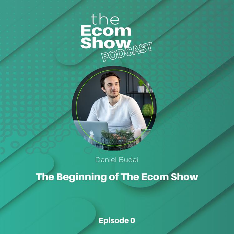 cover art for #0 The Beginning of The Ecom Show