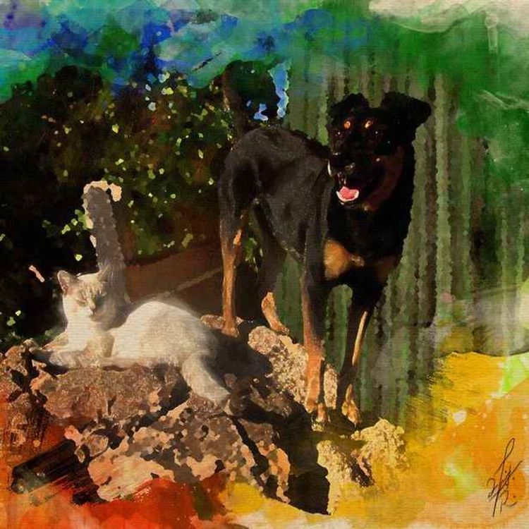 cover art for Ep 16 Gatas, Perras y Lenchas