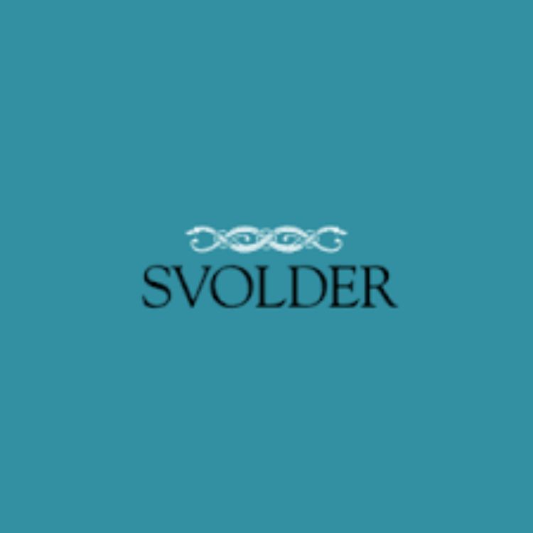 cover art for Svolder B