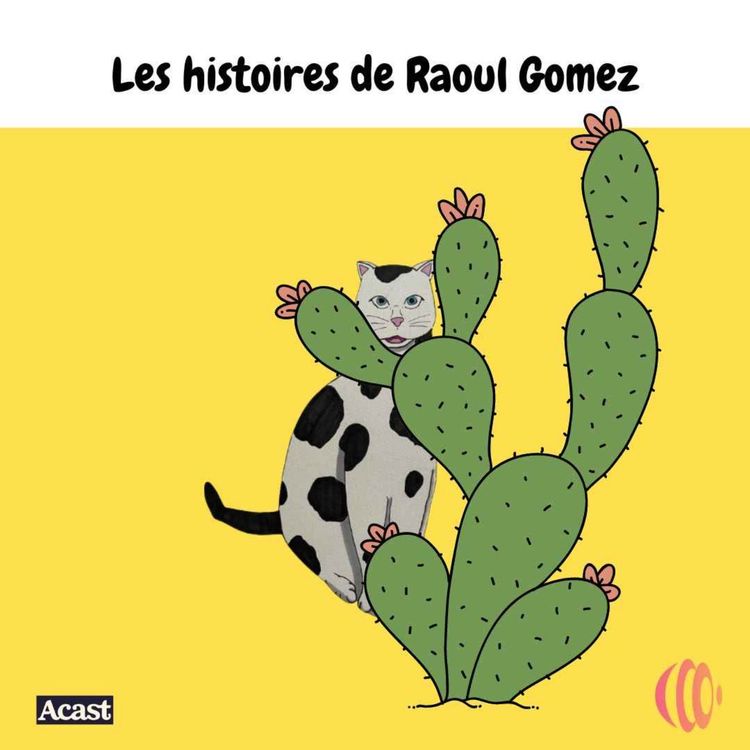 cover art for Raoul Gomez et le cactus