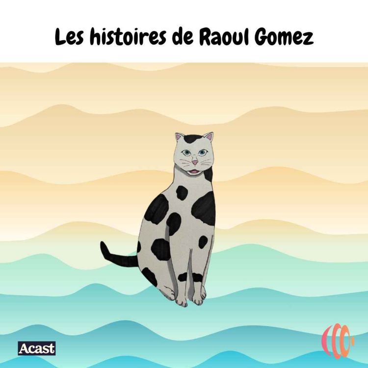 cover art for Raoul Gomez fait la sieste