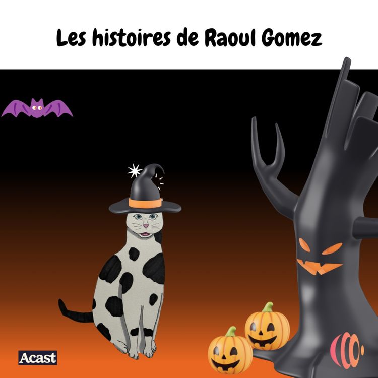 cover art for Raoul Gomez devient sorcier