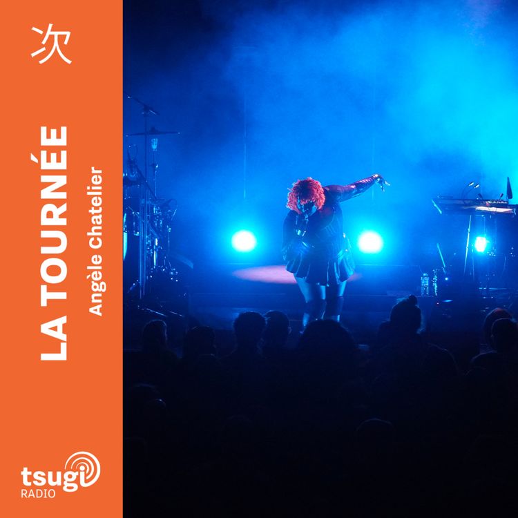 cover art for Banlieues Bleues avec Uzi Freyja et Twende Pamoja en live et Xavier Lemettre