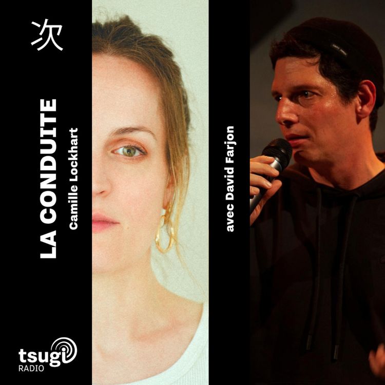 cover art for La Conduite de Camille Lockhart avec David Farjon