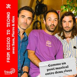 cover art for From Disco To Techno