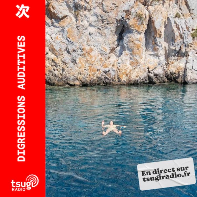 cover art for Digressions Auditives avec Vanadìs (Juin 2024)