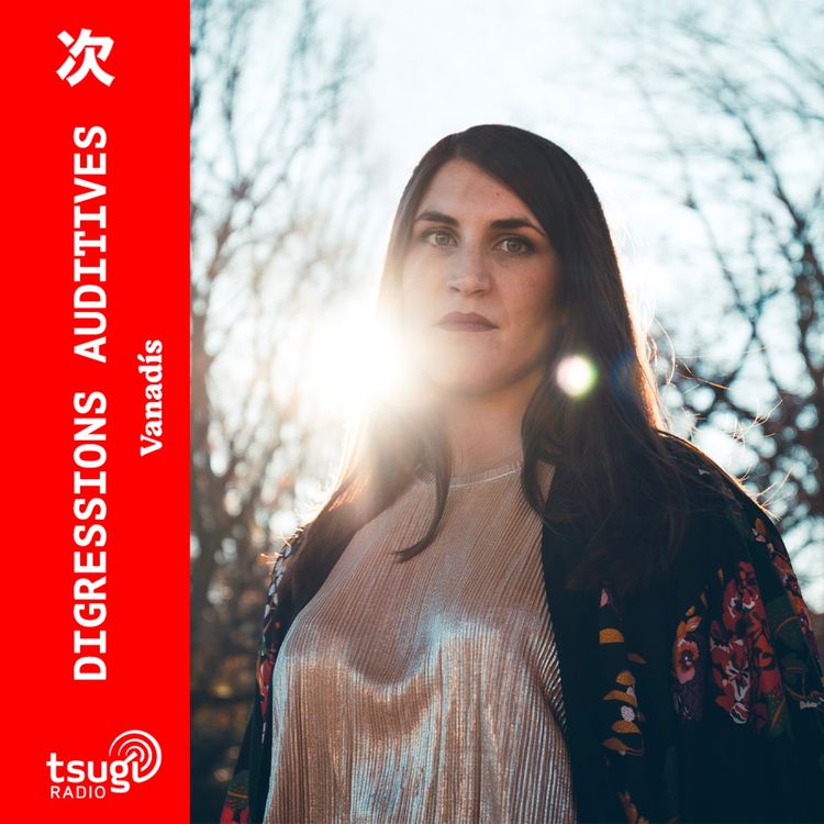 cover art for Digressions Auditives · Vanadís · Mai 2025