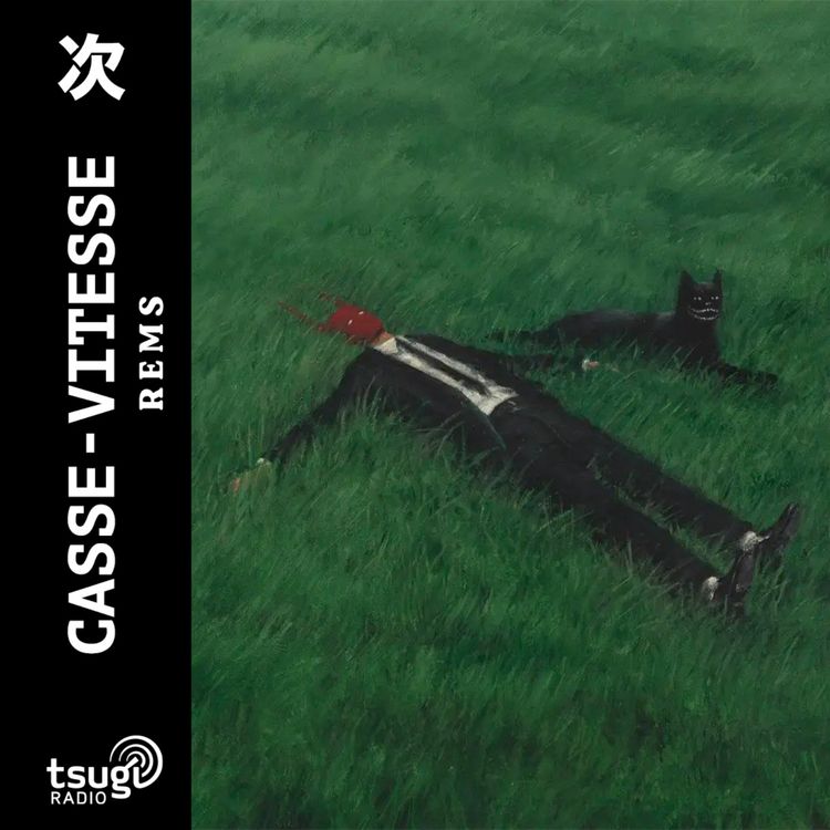 cover art for Casse-vitesse avec R E M S  · Novrembre 2025