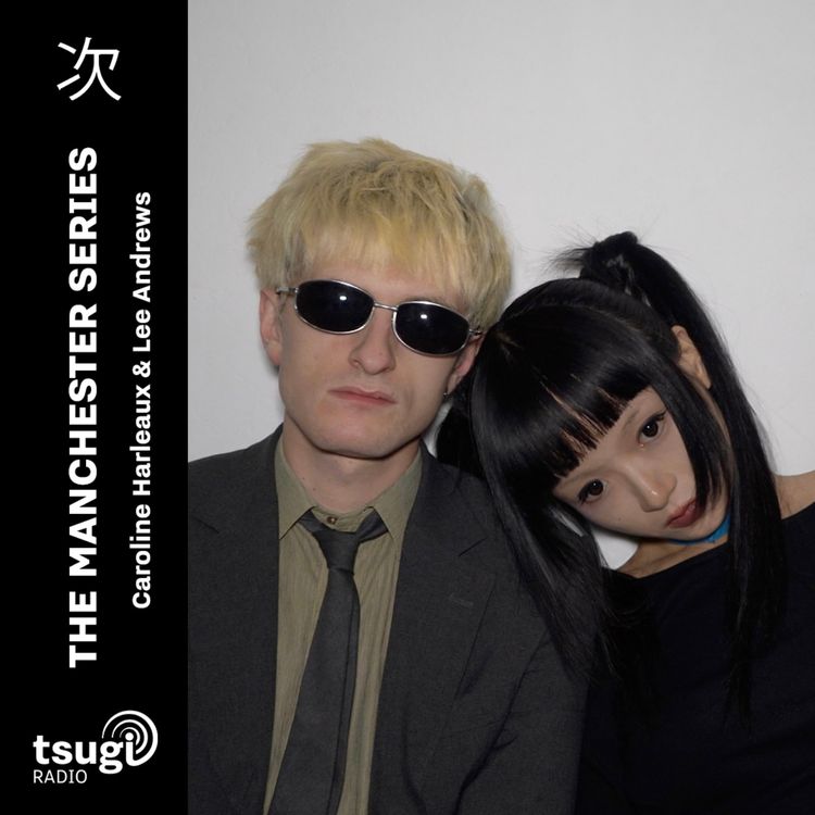 cover art for The Manchester Series avec SILVERWINGKILLER