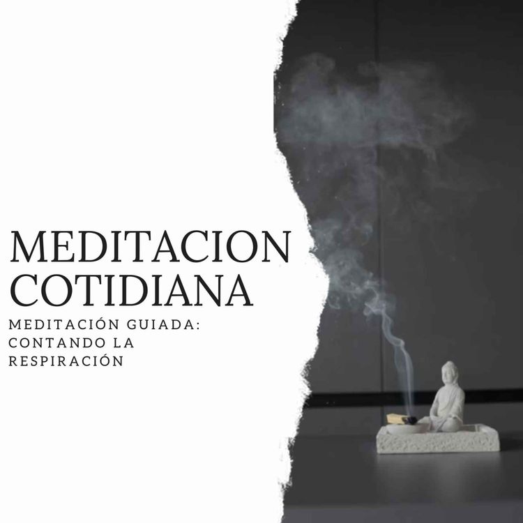cover art for Meditación Guiada: Contando la Respiración