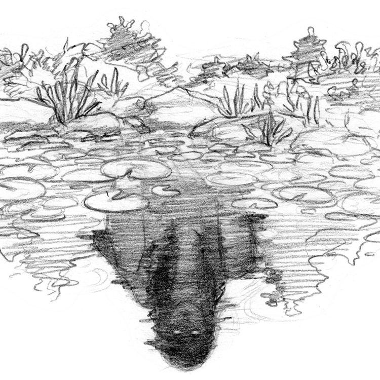 cover art for Les Lavandières