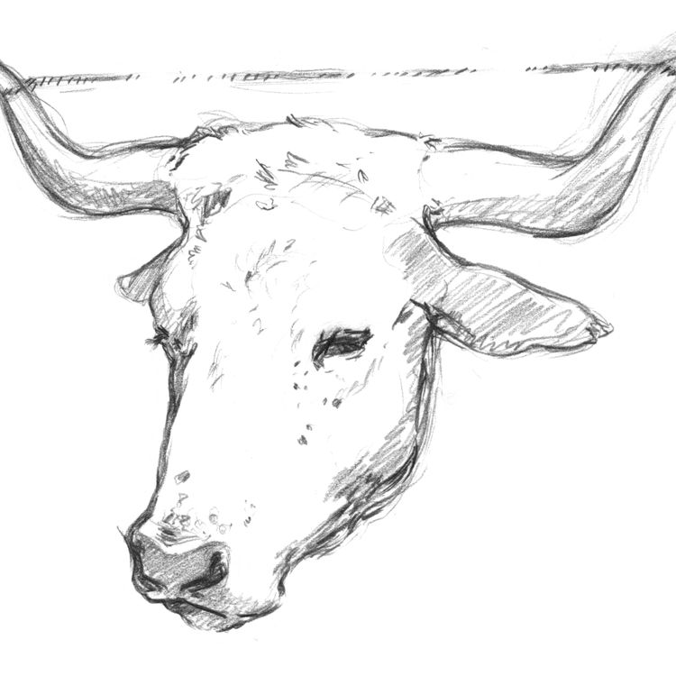 cover art for Le Boeuf d'argent