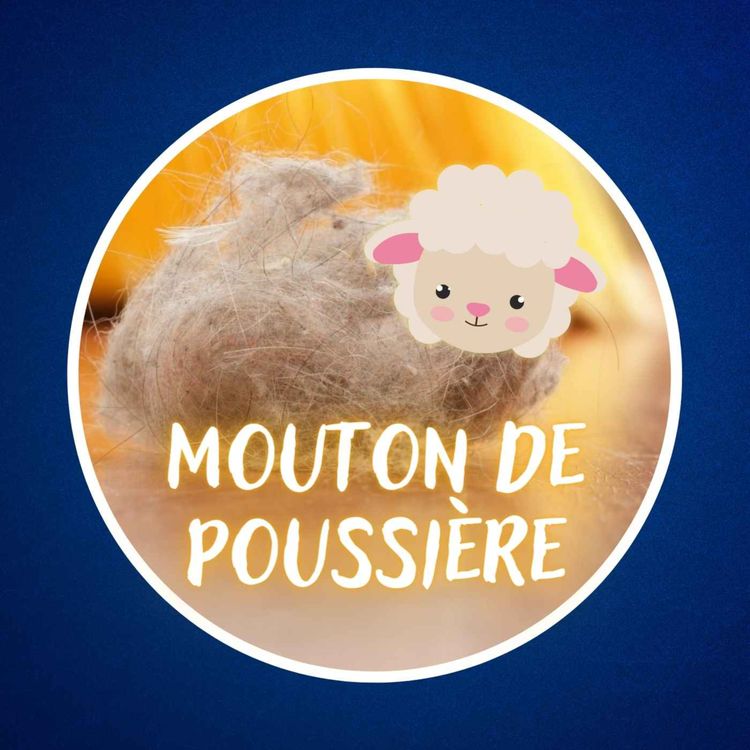 cover art for D'où viennent les moutons de poussière ? 🐑