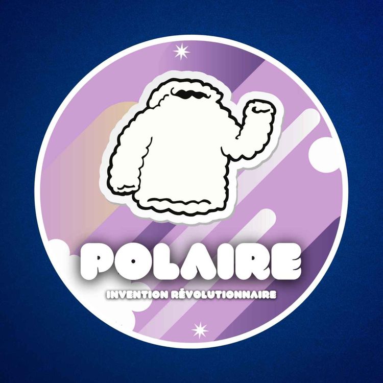 cover art for D'où vient la polaire ? 👕