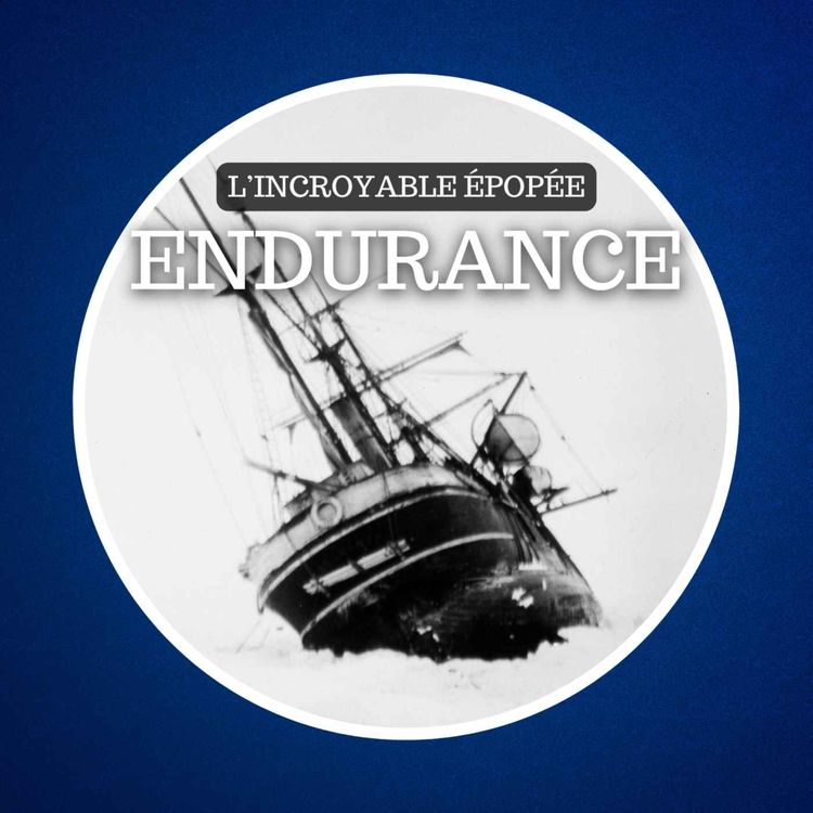 cover art for En 1914, 28 naufragés en Antarctique ! La folle histoire de l'expédition Endurance