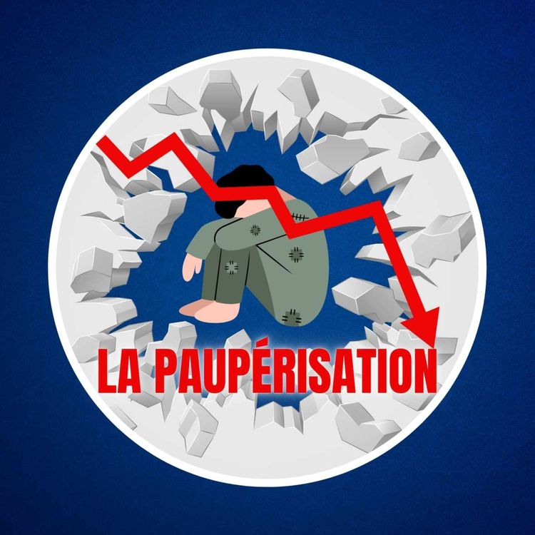 cover art for Qu'est-ce que la paupérisation ?