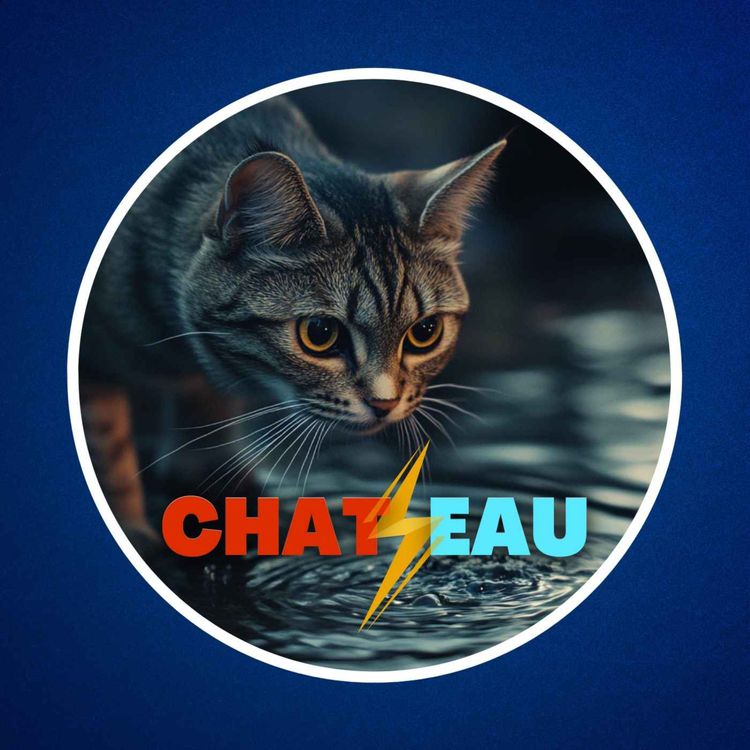 cover art for Pourquoi les chats n'aiment-ils pas l'eau ? 💦🙀