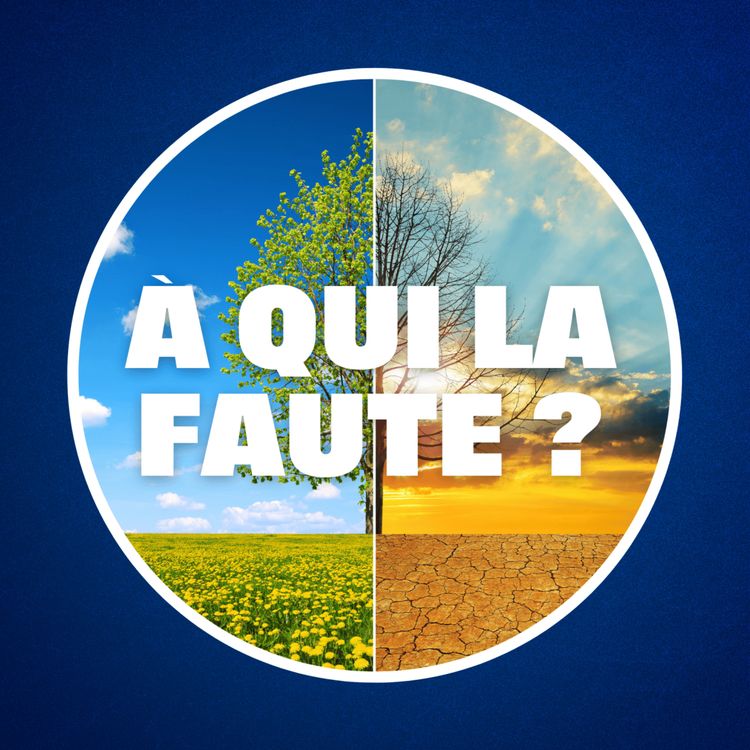 cover art for Le changement climatique est-il vraiment d'origine humaine ? 🤔