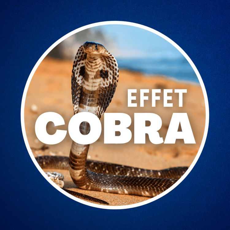 cover art for Qu'est-ce que l'effet Cobra ? 🐍 (Il nous menace tous...)