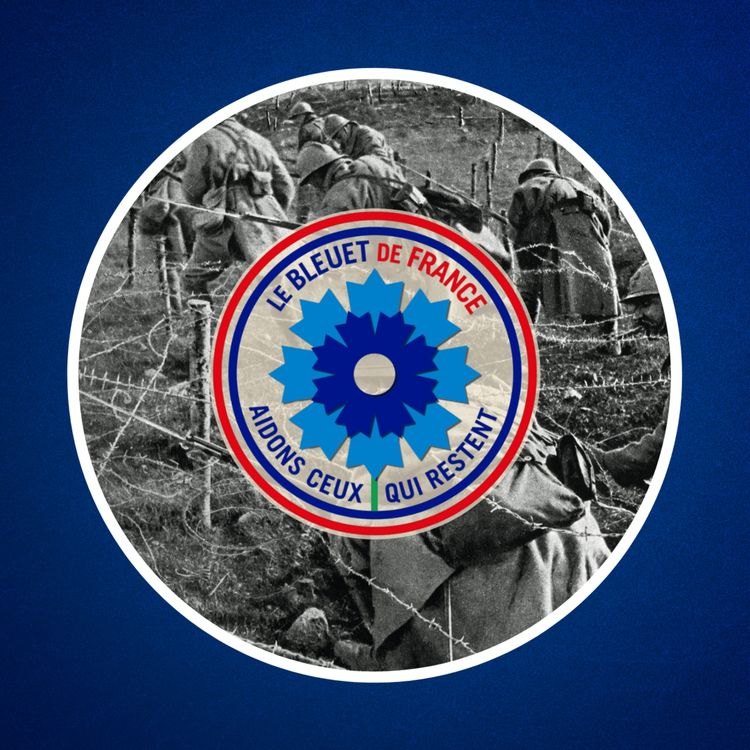 cover art for Qu'est-ce que le Bleuet de France ? 🇫🇷