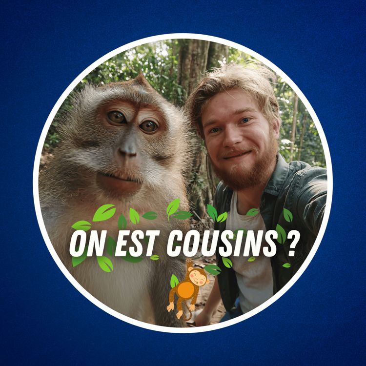 cover art for L'Homme descend-il du singe ? (C'est plus compliqué que ça... 🙈)