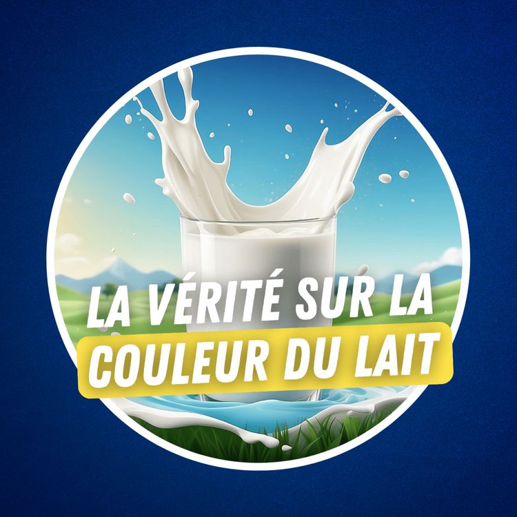 cover art for Pourquoi le lait est-il blanc ? 🥛